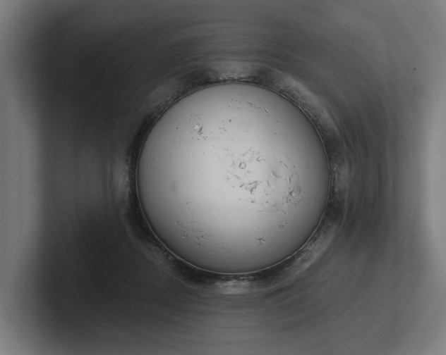 X0000102400362200808011551