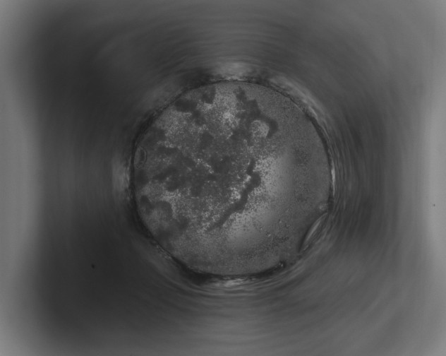 X0000102400365200808011551