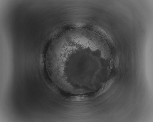 X0000102400366200808011551