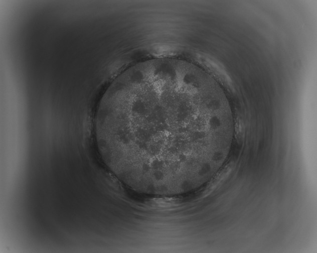 X0000102400367200808011551