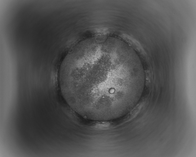 X0000102400369200808011551