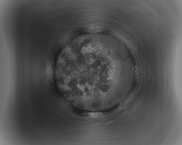 X0000102400371200808011551