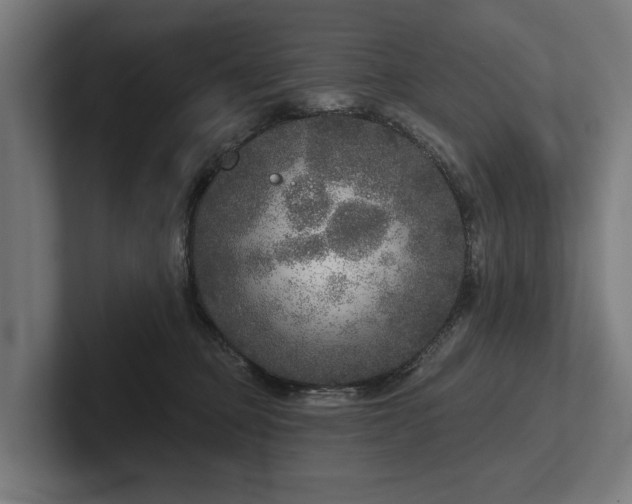 X0000102400373200808011551