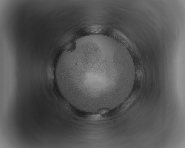 X0000102400374200808011551