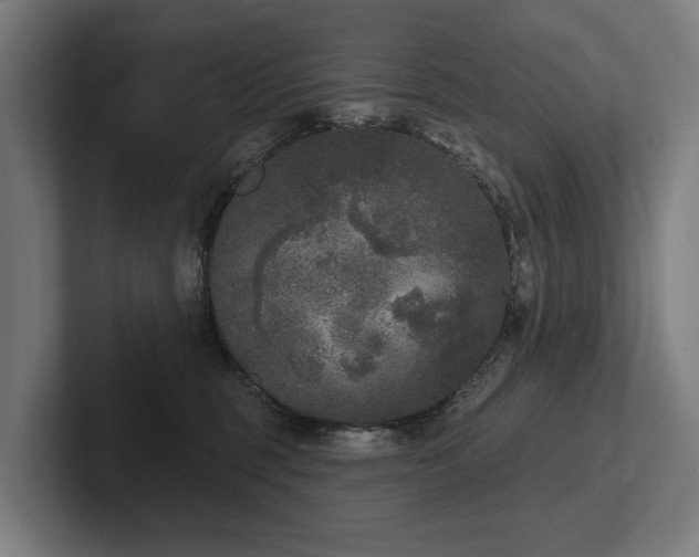 X0000102400375200808011551