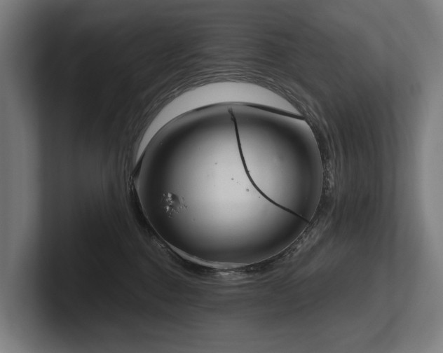 X0000102400376200808011551