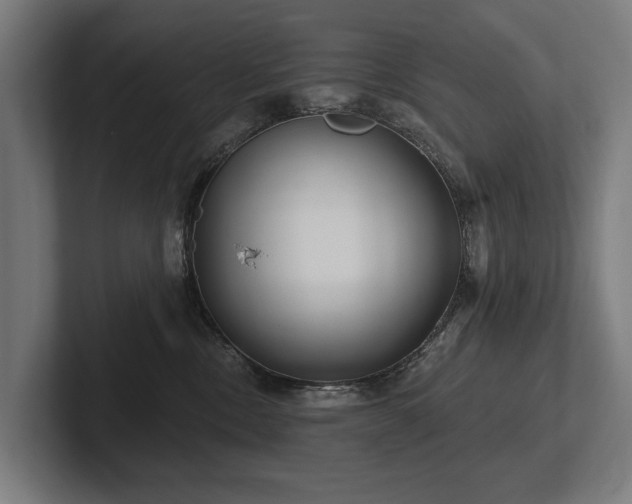 X0000102400378200808011551