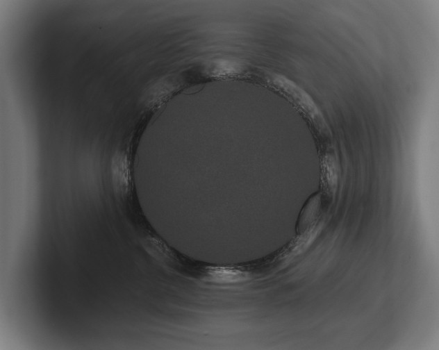 X0000102400380200808011551