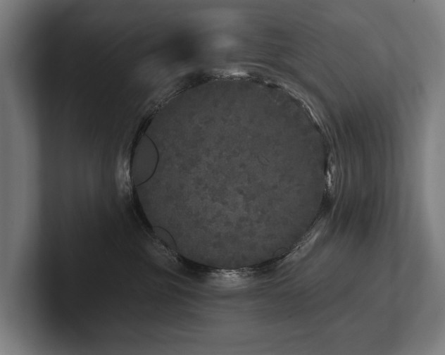 X0000102400381200808011551