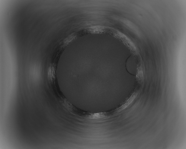 X0000102400382200808011551