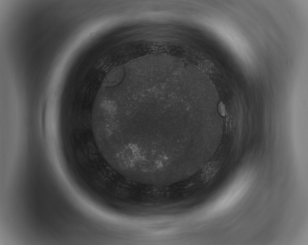 X0000102400383200808011551