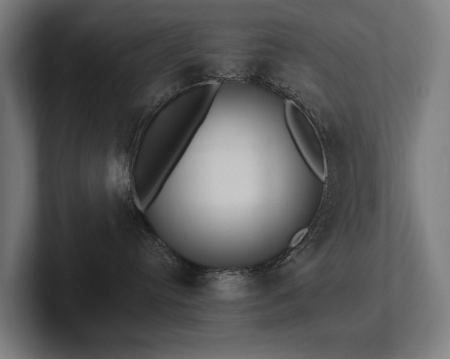 X0000102400384200808011551