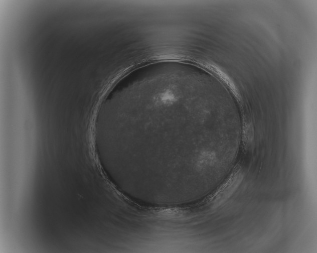 X0000102400385200808011551