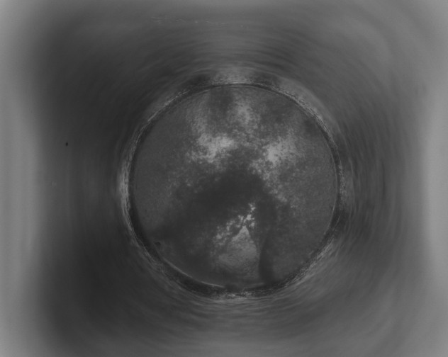 X0000102400386200808011551