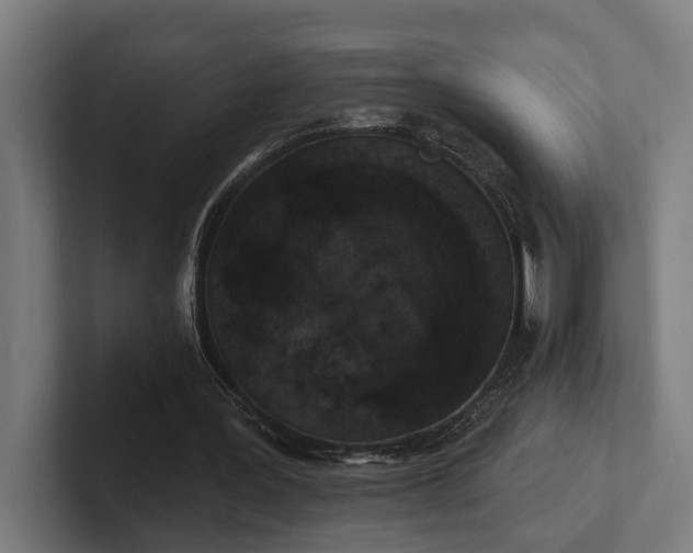 X0000102400387200808011551