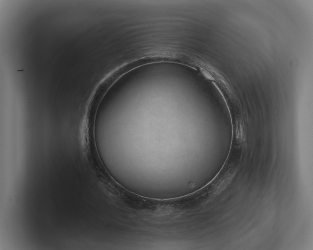 X0000102400388200808011551