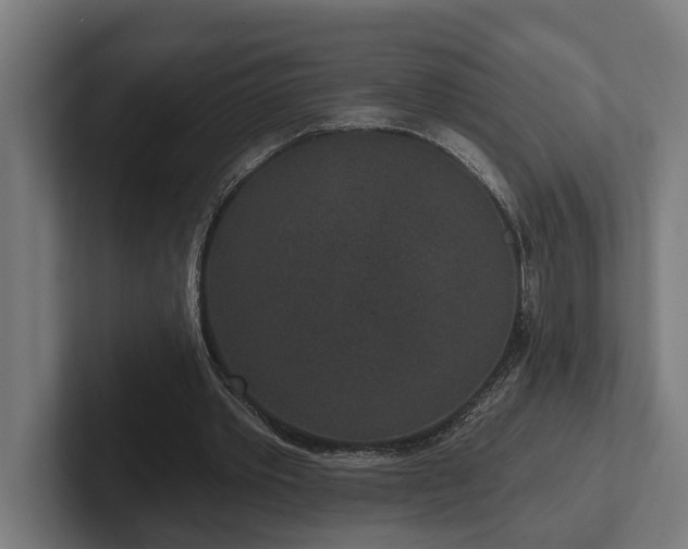 X0000102400389200808011551