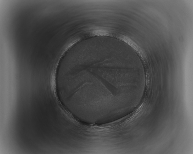 X0000102400390200808011551