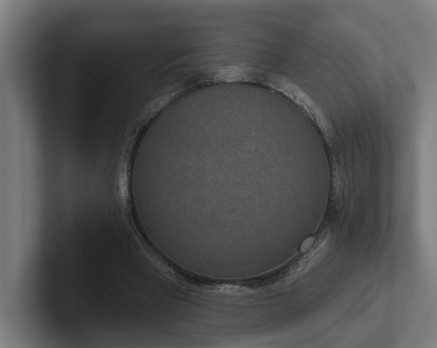 X0000102400393200808011551