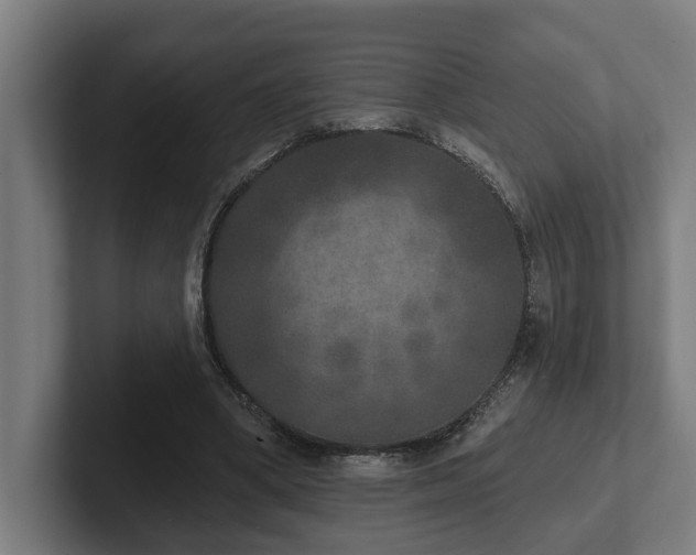 X0000102400394200808011551