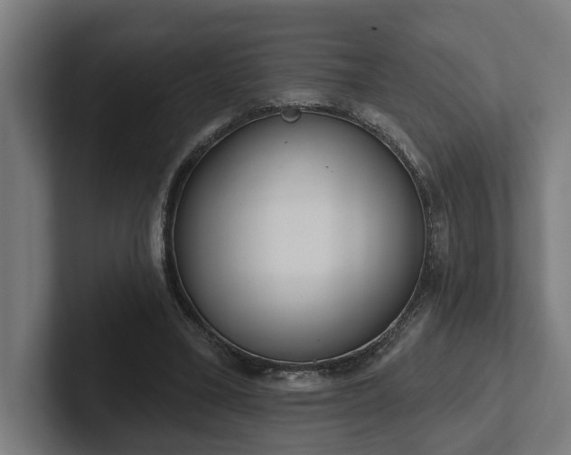 X0000102400395200808011551