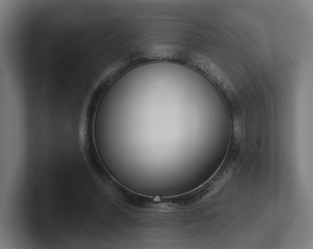 X0000102400396200808011551