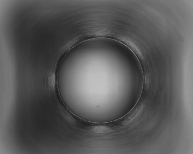 X0000102400397200808011551