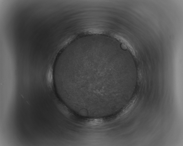 X0000102400398200808011551