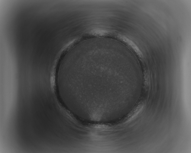 X0000102400399200808011551