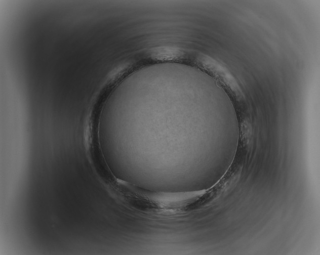 X0000102400400200808011551