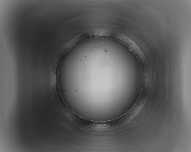 X0000102400401200808011551