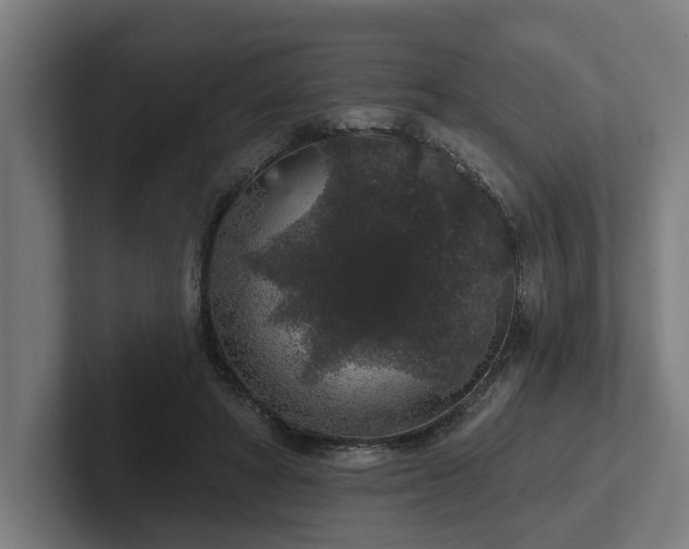 X0000102400402200808011550