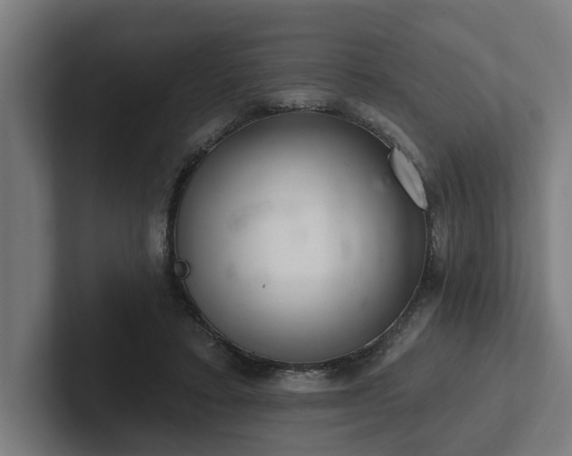 X0000102400403200808011550