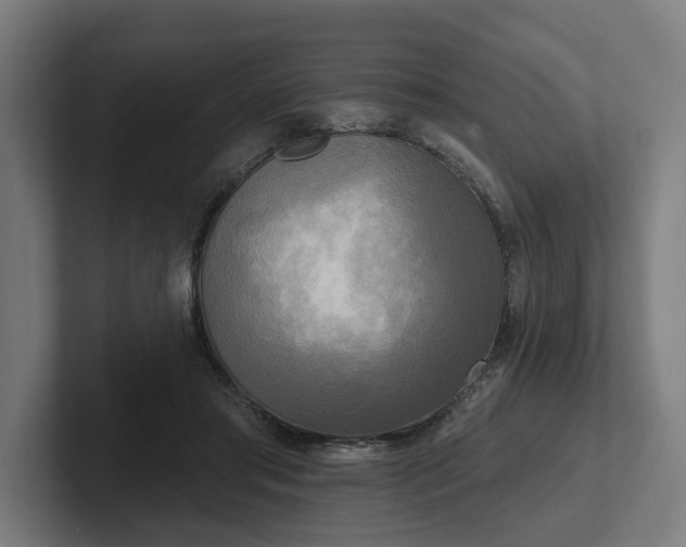 X0000102400405200808011550