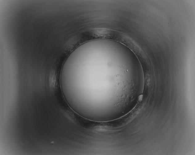 X0000102400408200808011550