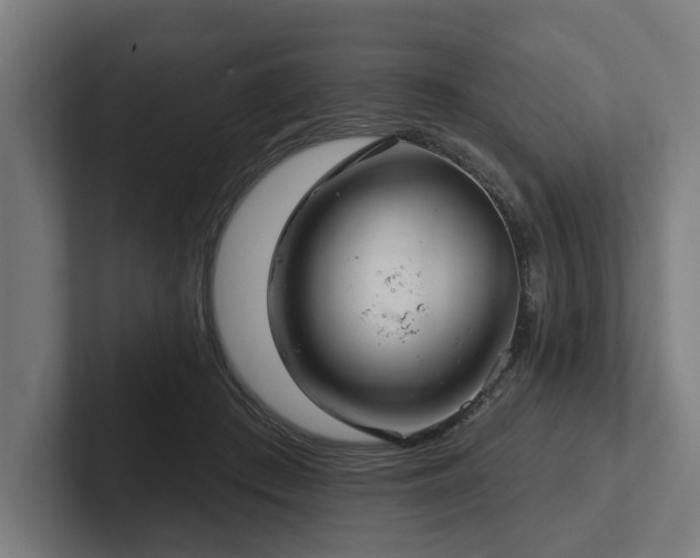 X0000102400409200808011550