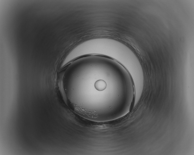 X0000102400411200808011550