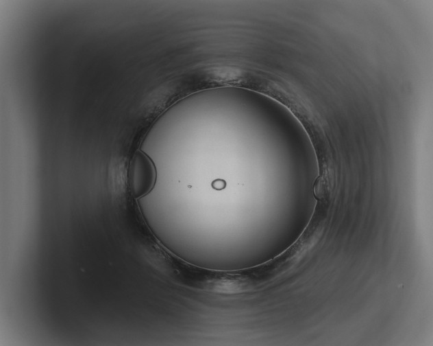 X0000102400412200808011550