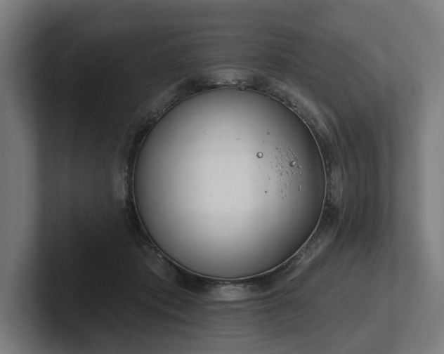 X0000102400413200808011550