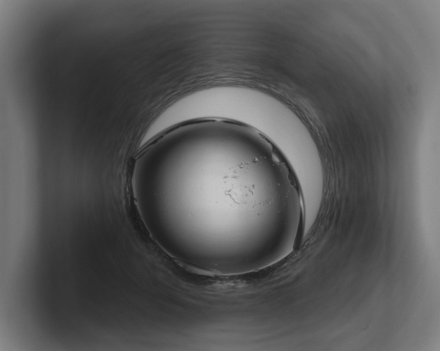 X0000102400415200808011550