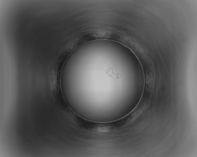 X0000102400416200808011550