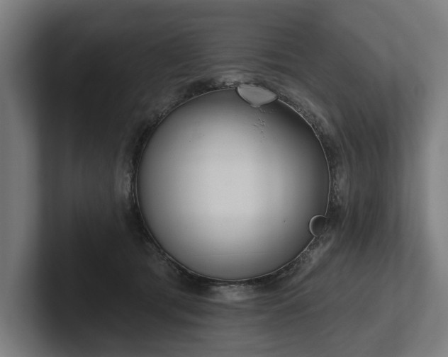 X0000102400417200808011550