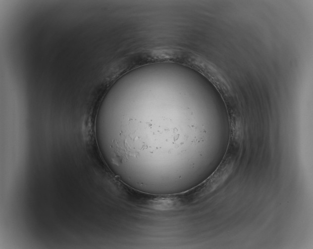 X0000102400418200808011550