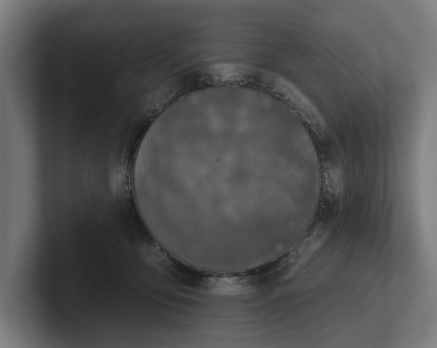 X0000102400419200808011550