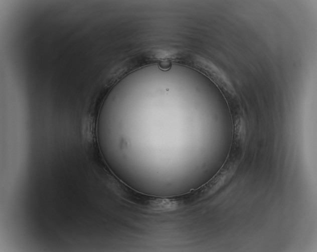 X0000102400421200808011550