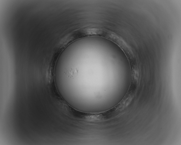 X0000102400422200808011550