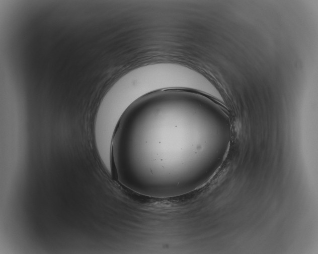 X0000102400423200808011550