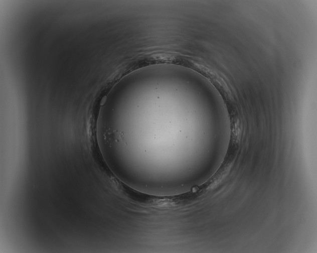 X0000102400424200808011550