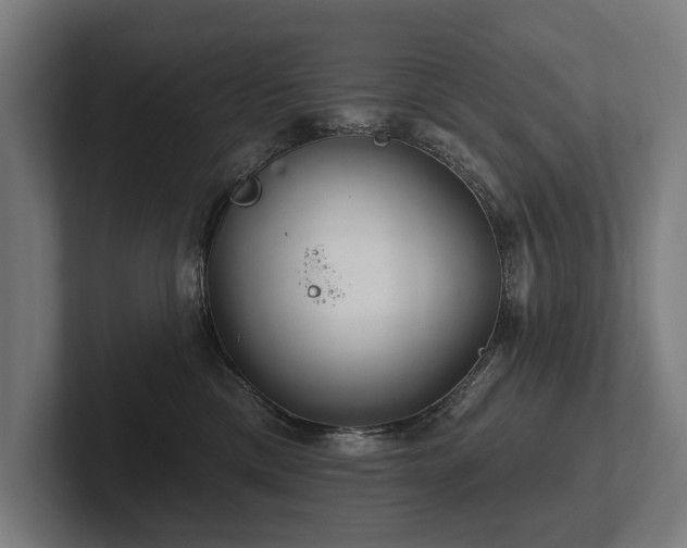 X0000102400425200808011550