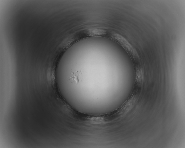 X0000102400426200808011550